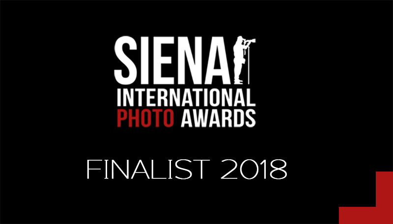 Finalist  Logo 2018