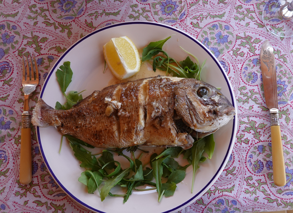 Fisch.4.jpg
