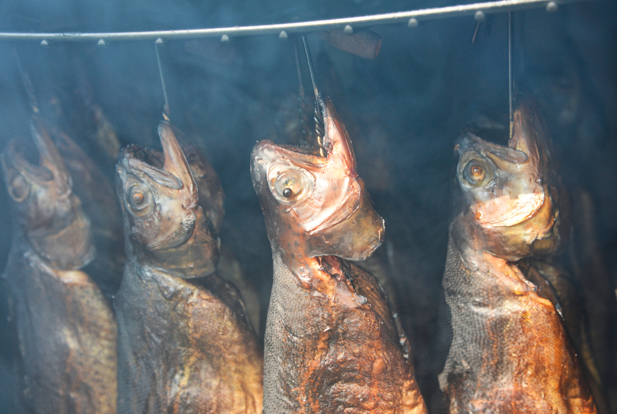 Fisch
