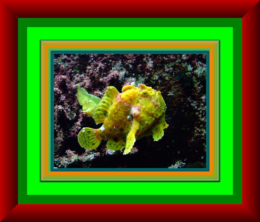 Fisch