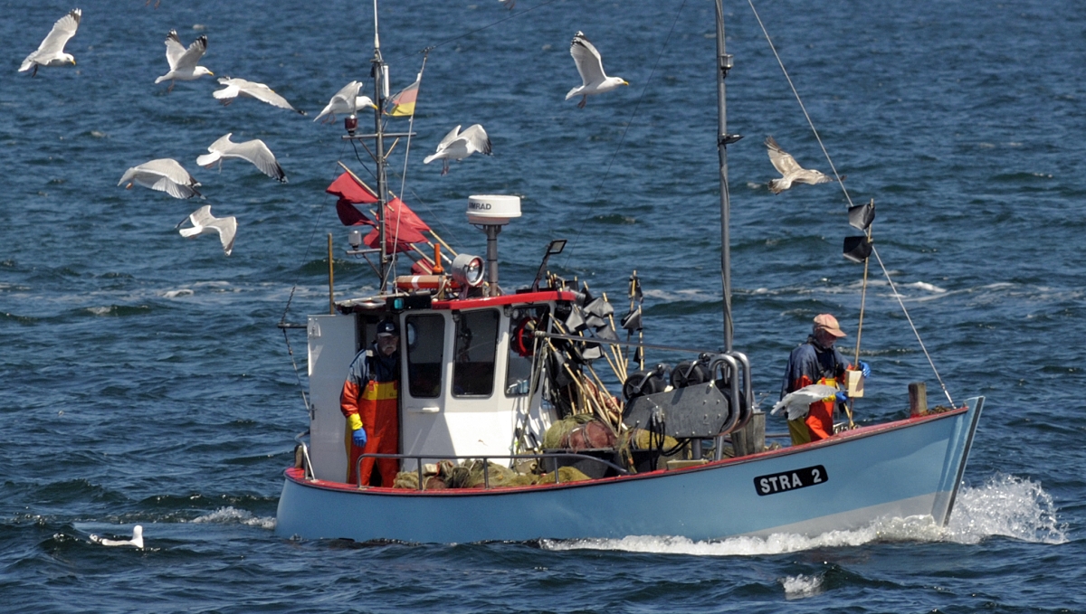 fischer_vor_strande_2.jpg