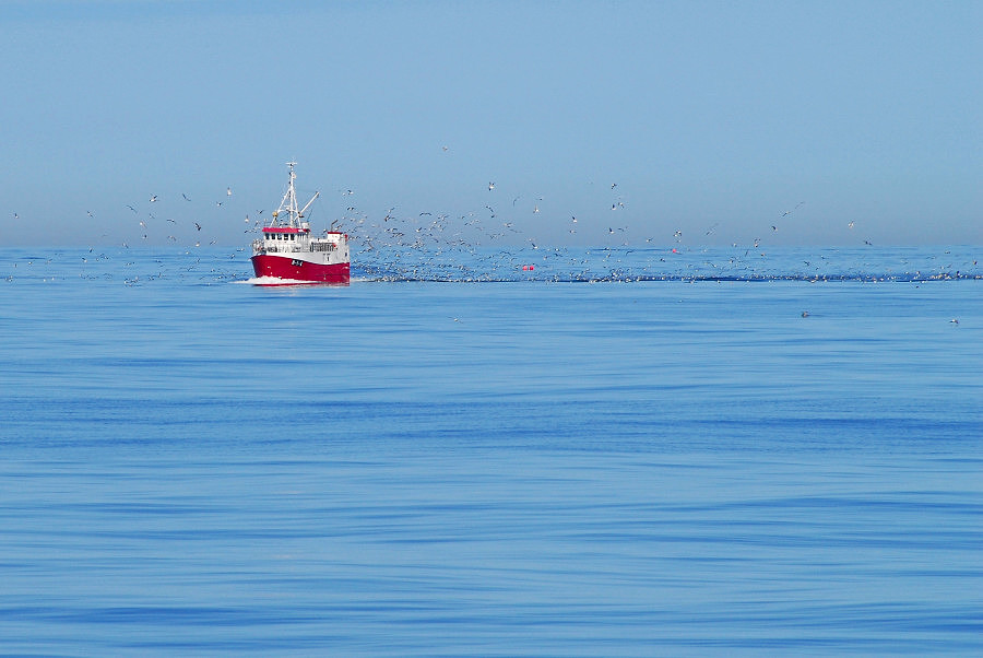 Fischerboot 2
