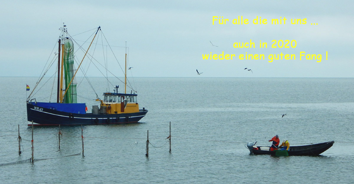 fischerhff wunschKopie.jpg