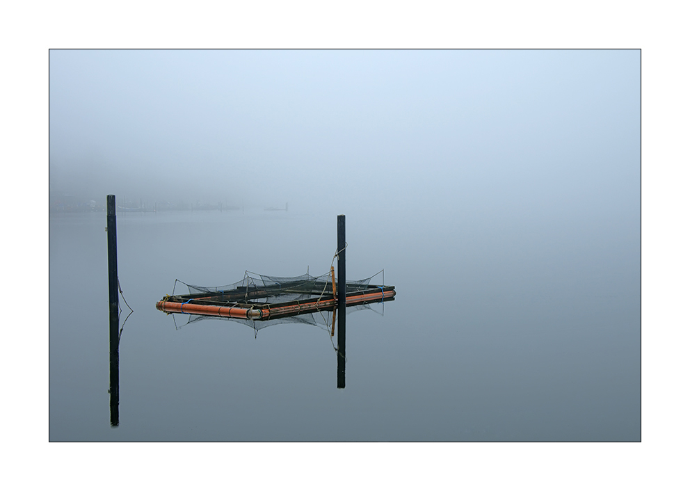 Fischernetz
ganz früh am Morgen ins Schleswig