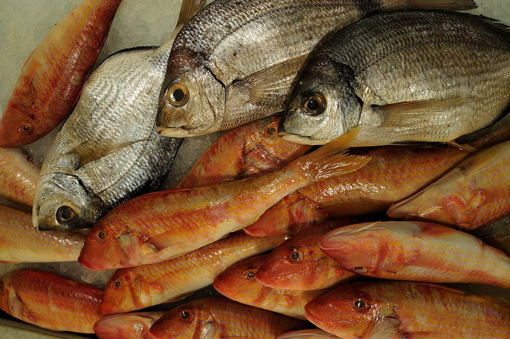 fischmarkt 1