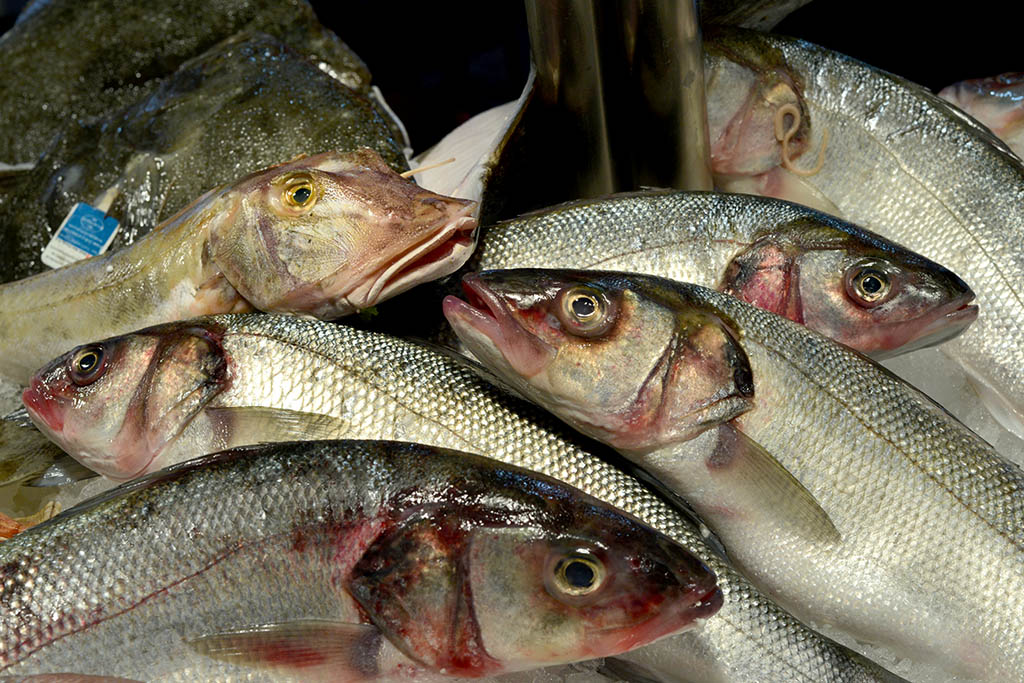 Fischmarkt 9