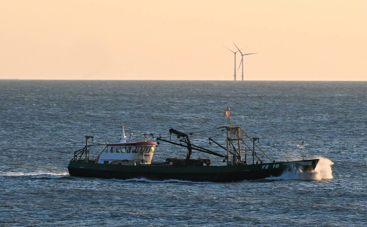 Fischtrawler vor der niederländischen Küste.jpg