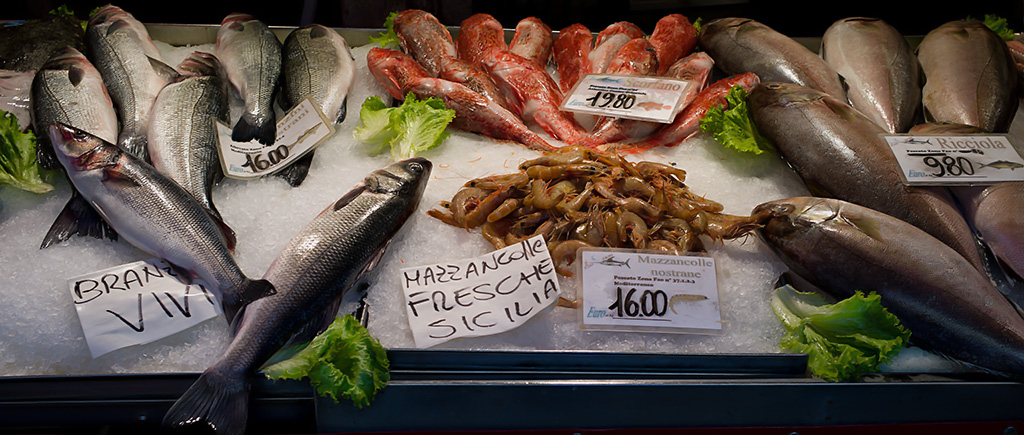 fish