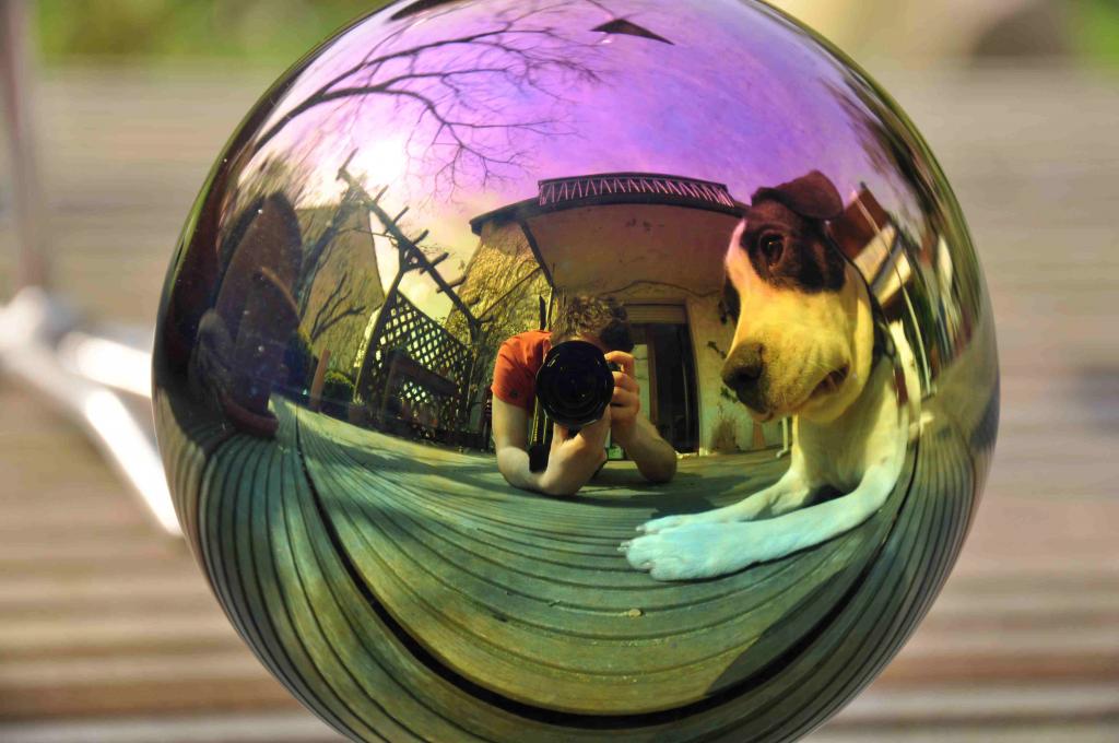 Fisheye