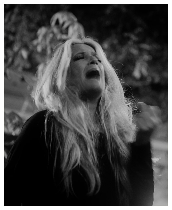 flamenco 5
