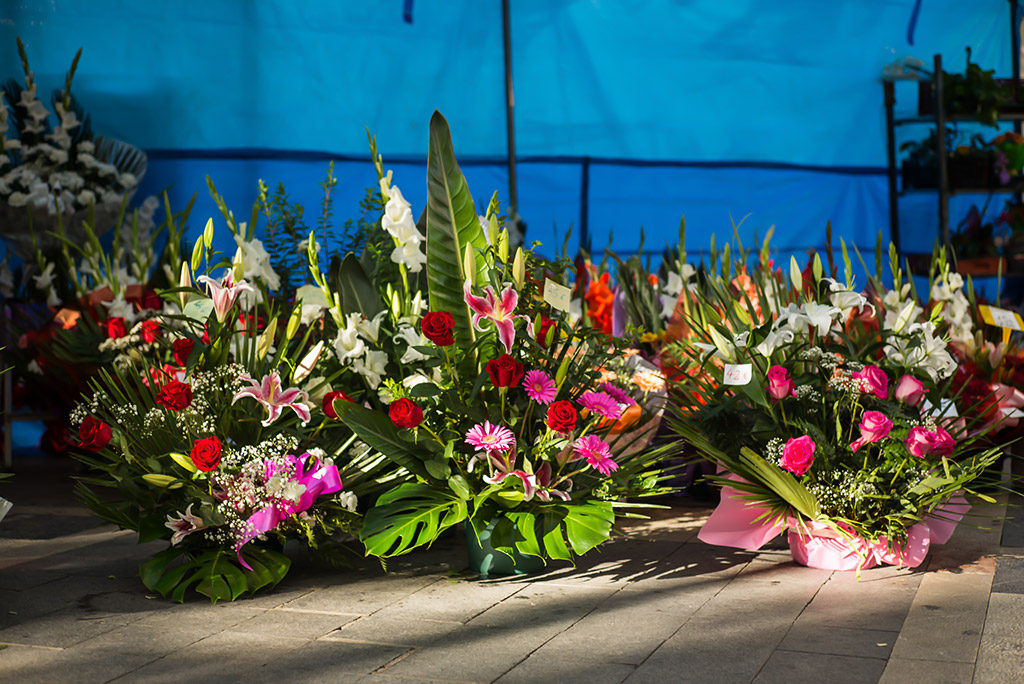 flores