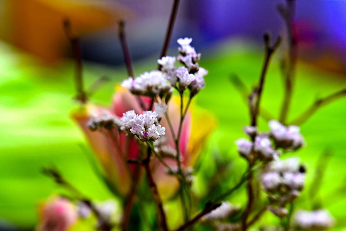 flower