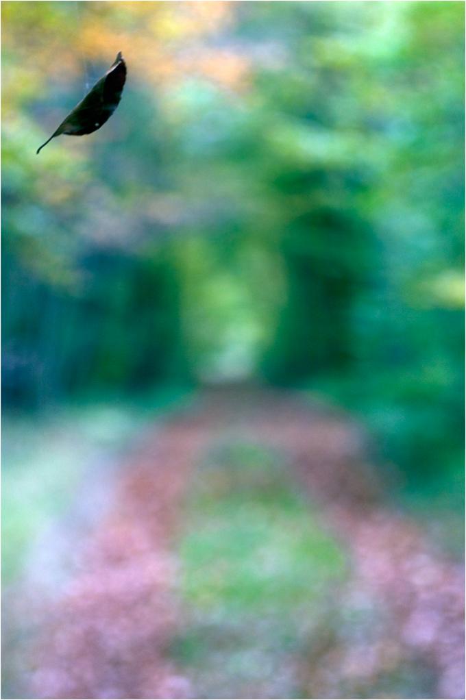 FlugblattDSC 0119