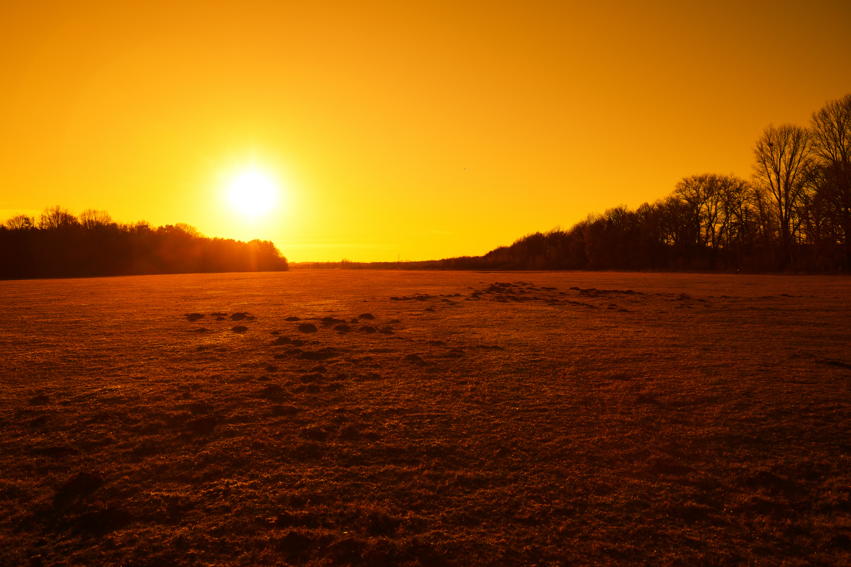 Flugfeld Rodebachtal