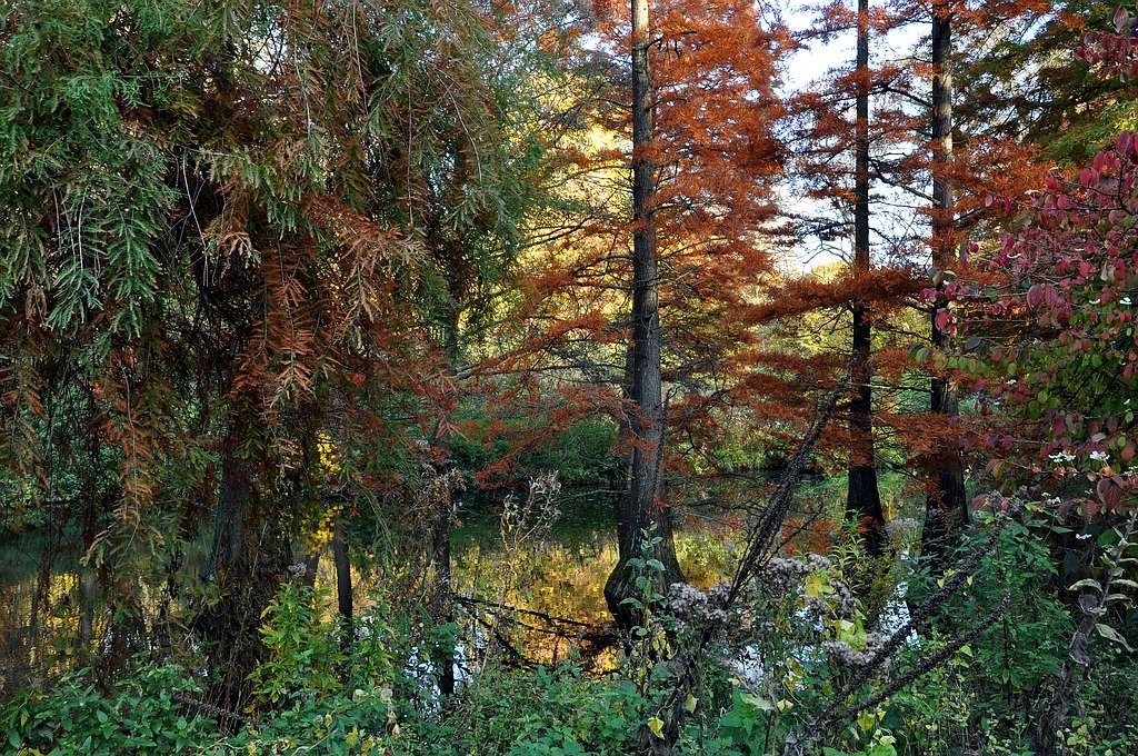 Flusslandschaft