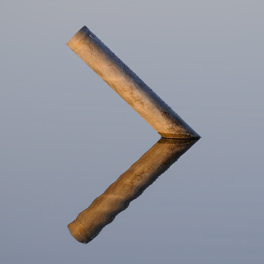 fly scale