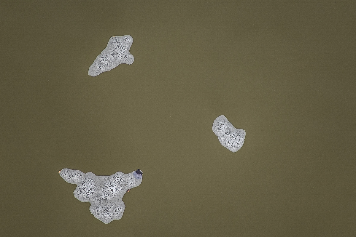 Foam-0187.JPG