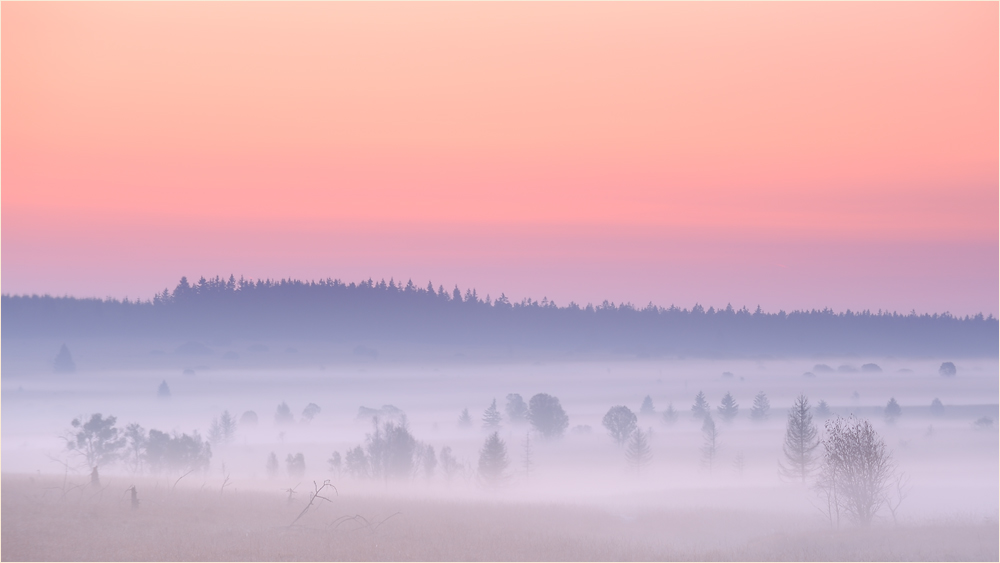 fog