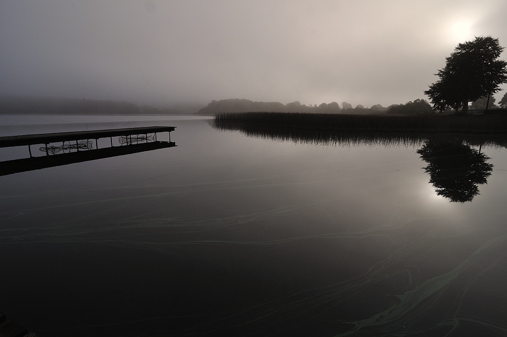 fogsteg