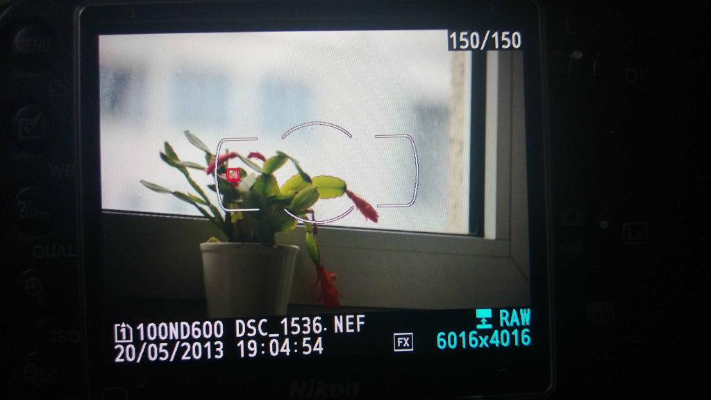 Fokus D600 1
