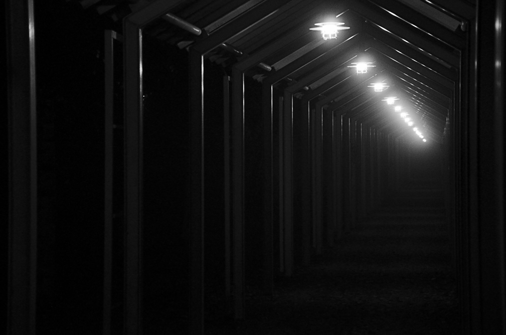 follow the light 1