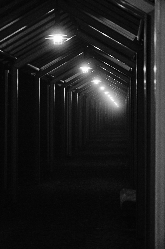 follow the light 2