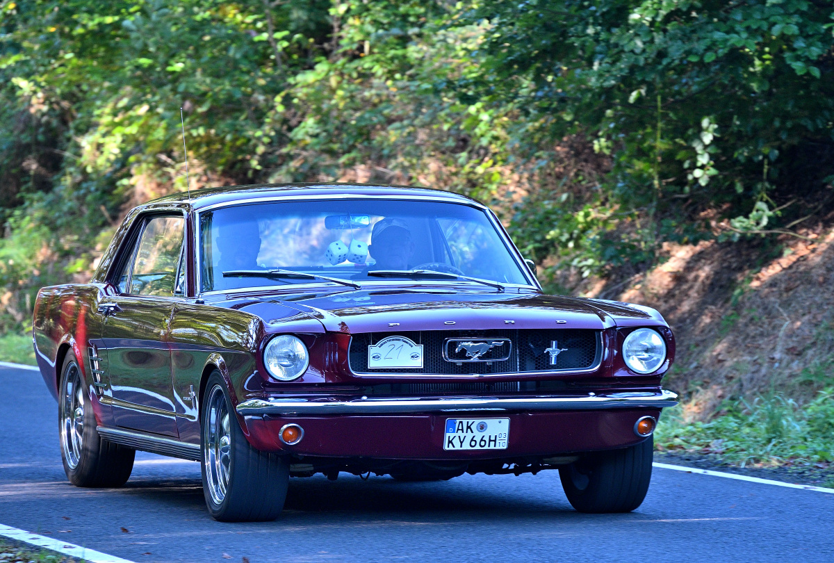 Fordmustang66.JPG