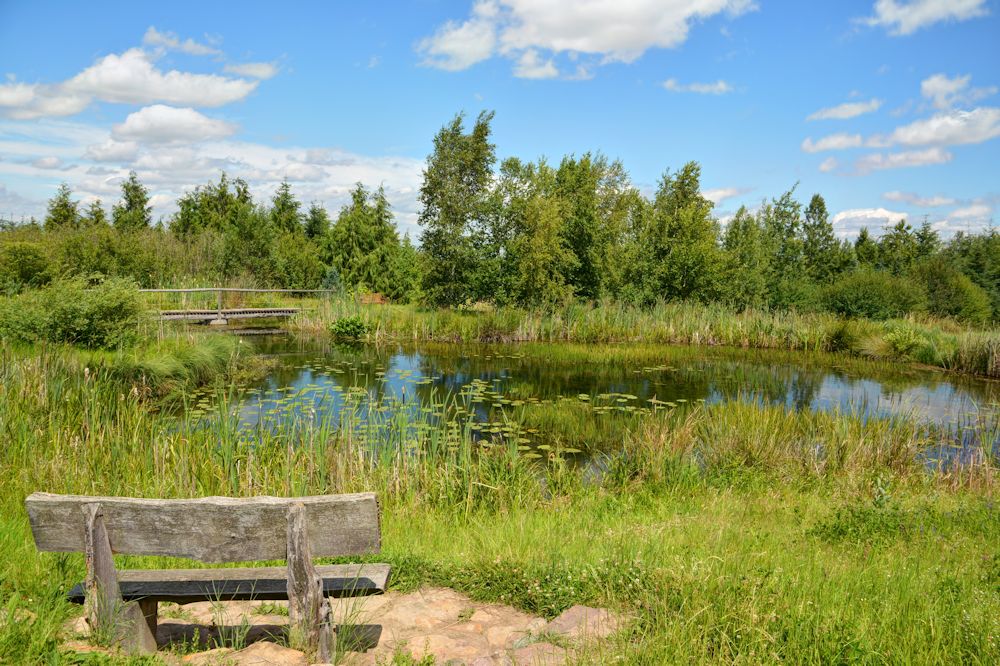 ForstPark.jpg