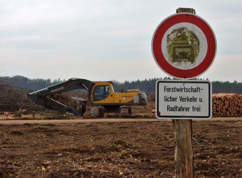Forstwirtschaft
