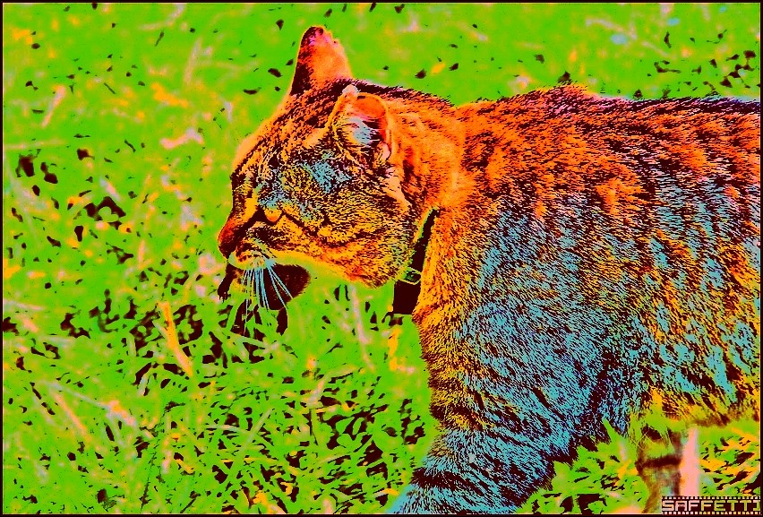 forum 1189847ee5ec7b485b