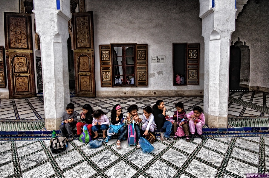 forum kiddies marra