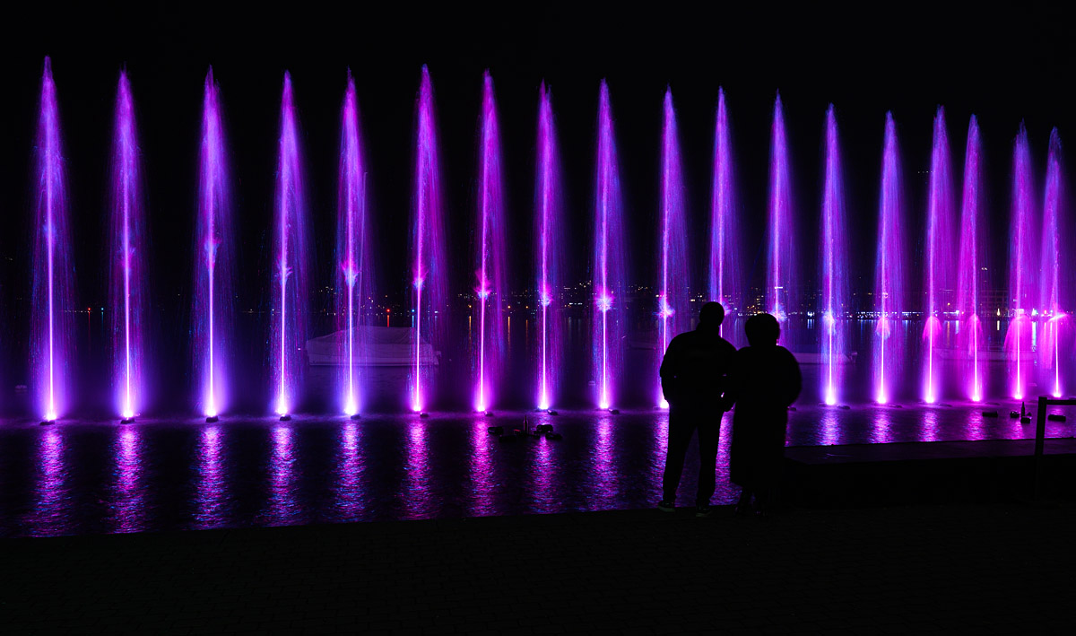 Forum_DZ80211.jpg