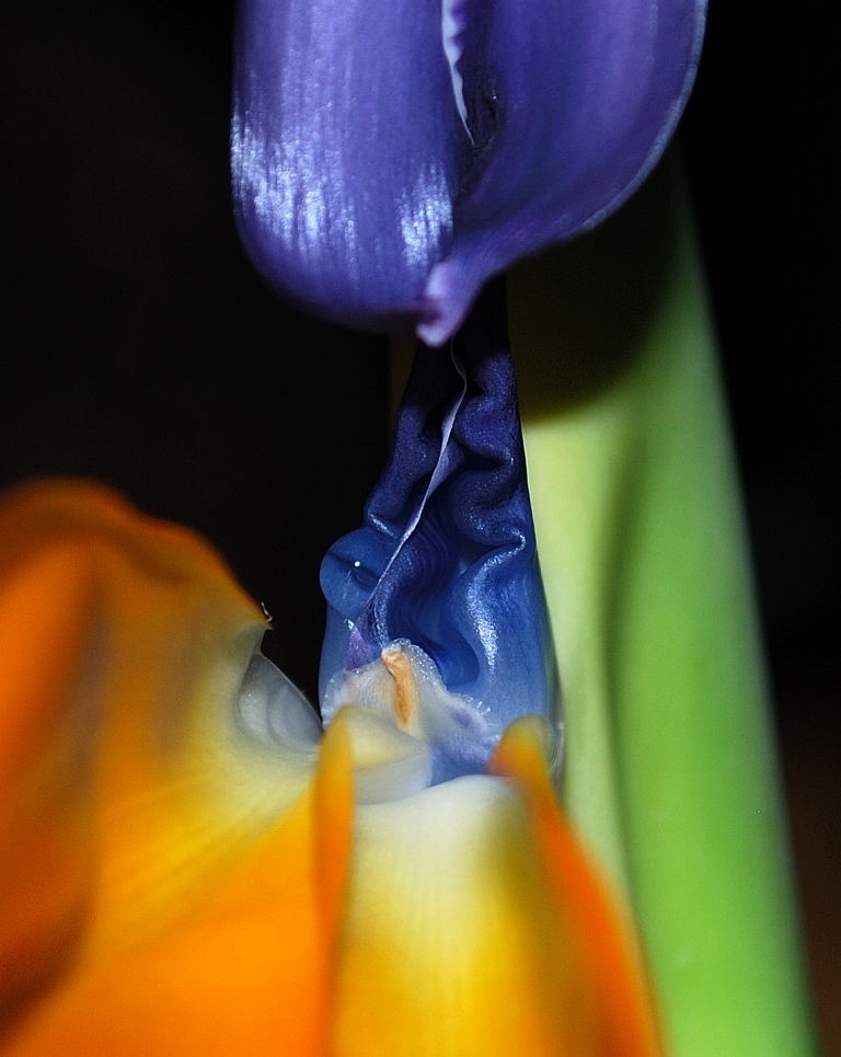 Foto0001