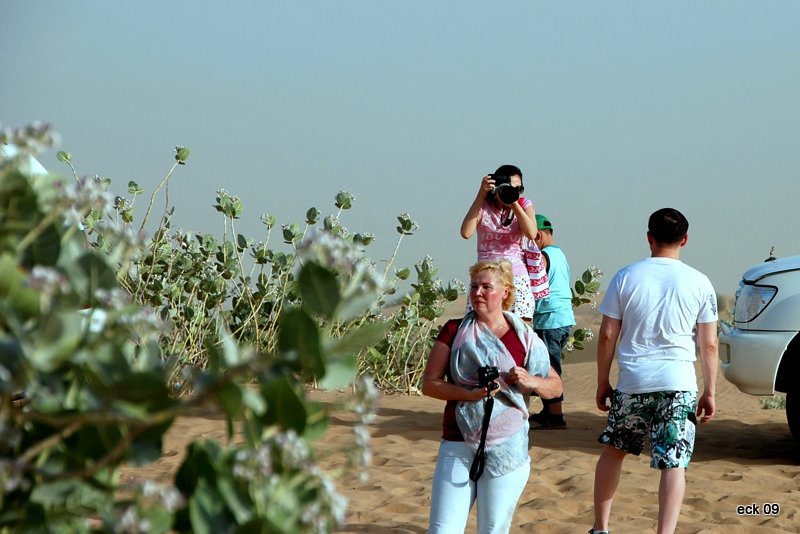 Fotografen016