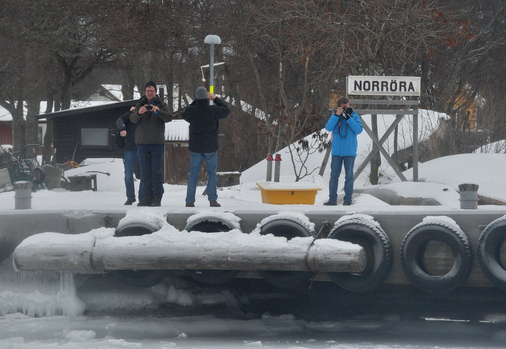 Fotograferna på Norröra DSC 7943