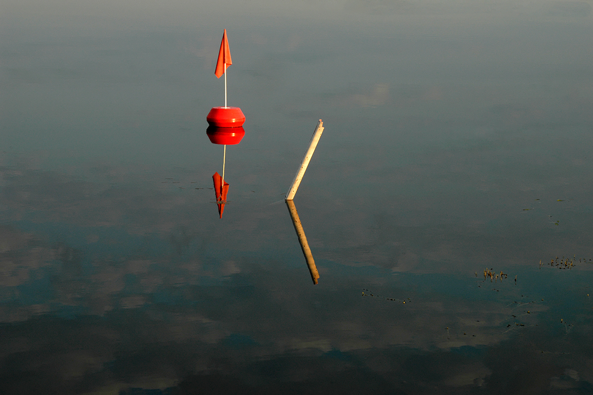 Fotografiere Rot