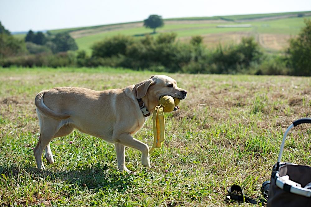 Fototreffen (3)