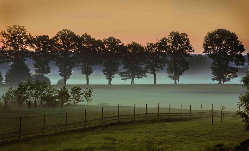 frühermorgen