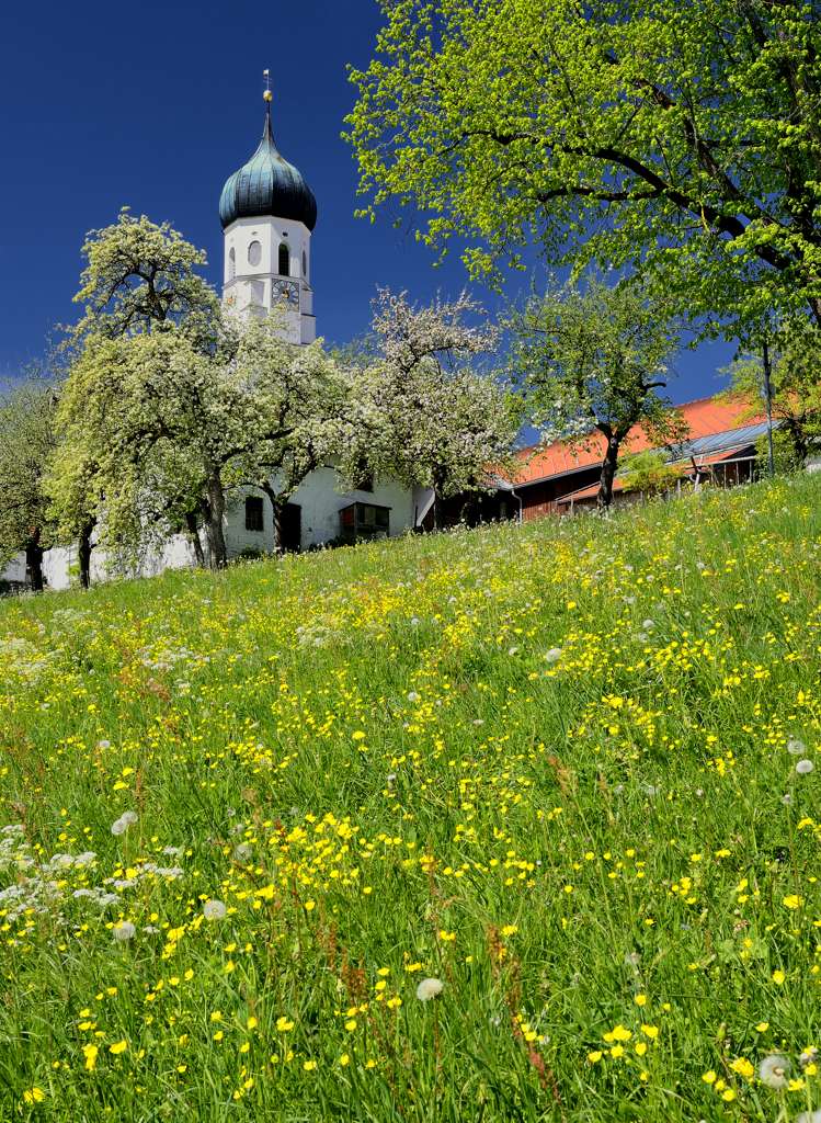 Frühling im bayerischen Voralpenland