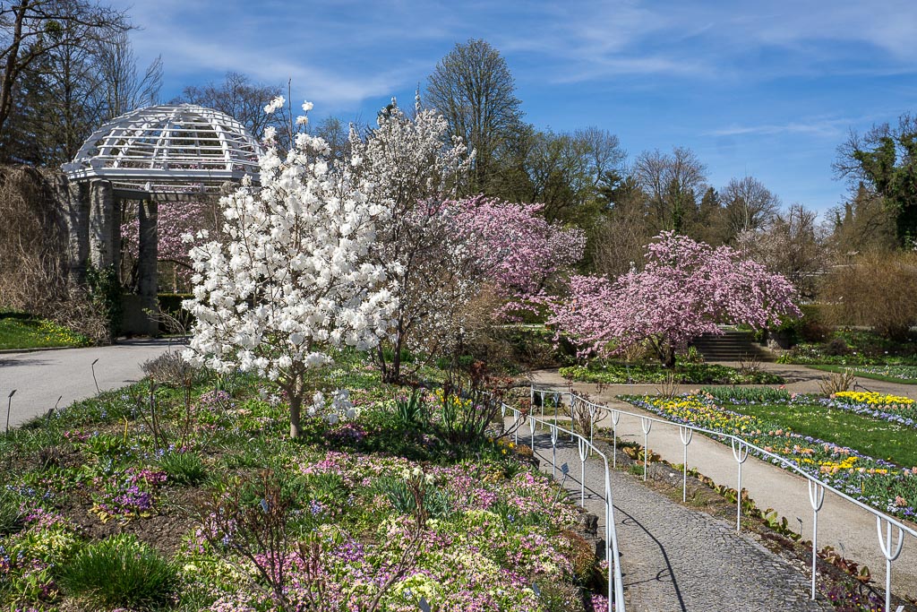 Frühling im Botanischen Garten München-Nymphenburg