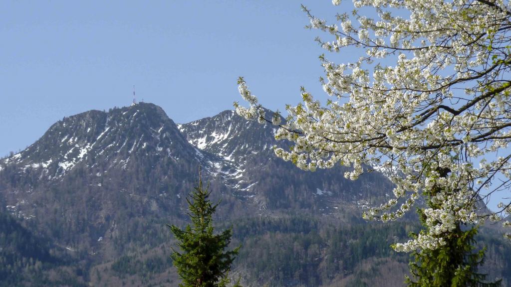 Frühling in Ischl