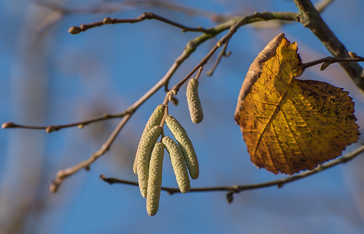 Frühling und Herbst.jpg