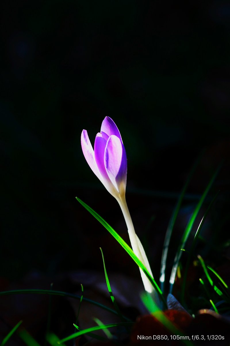 Frühling