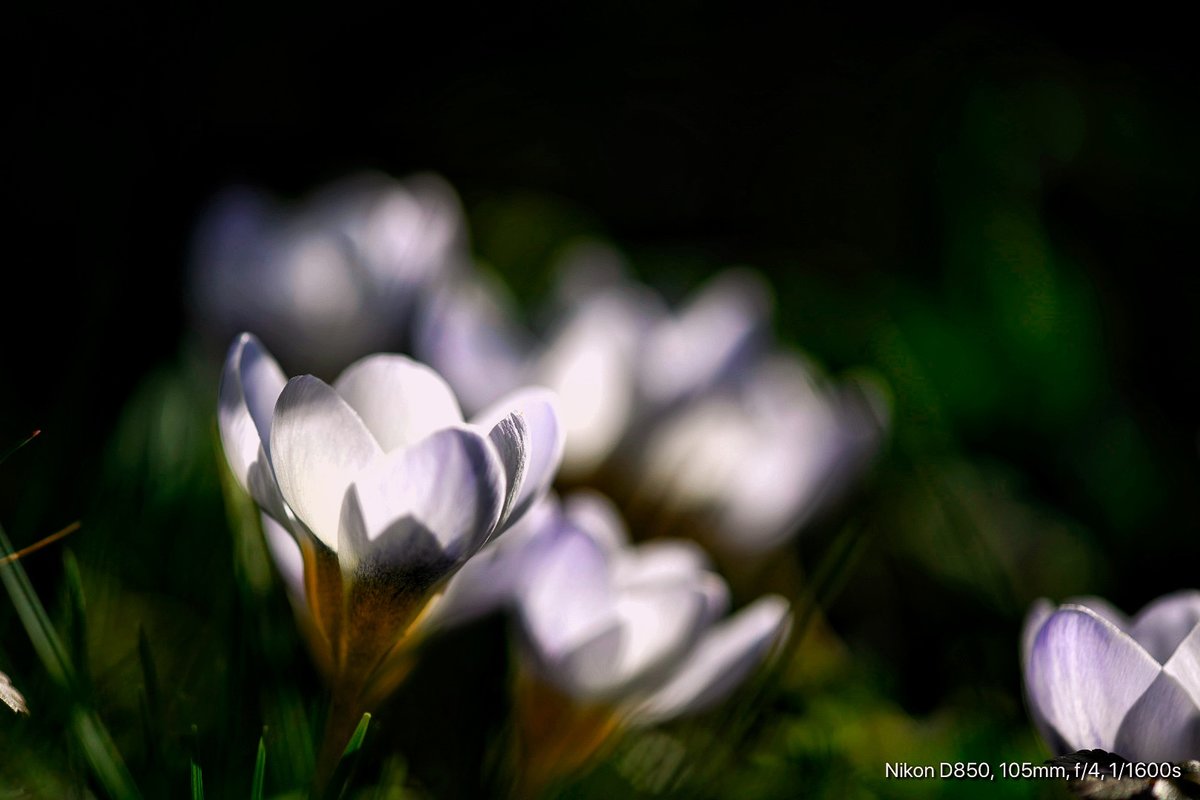 Frühling