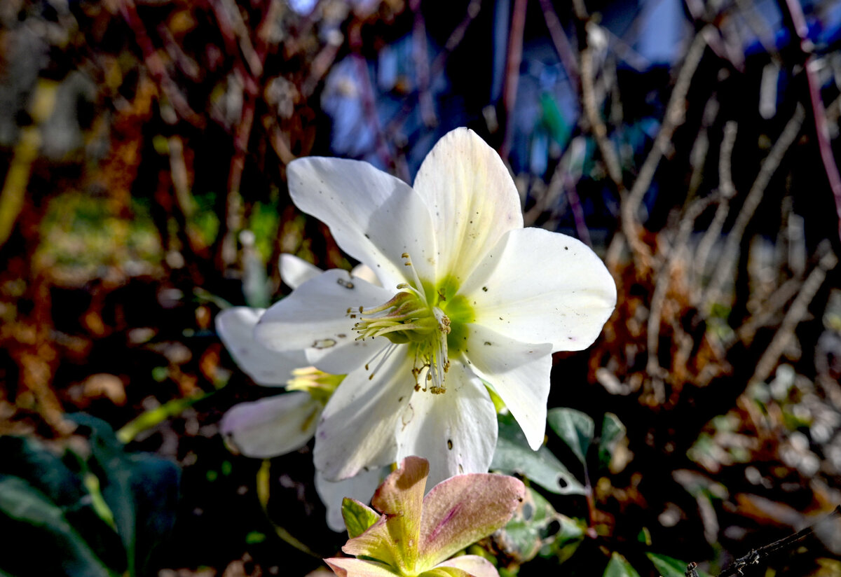 Frühling