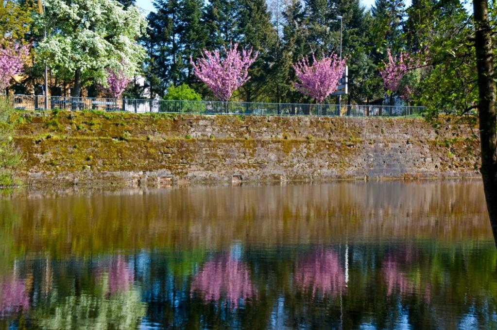 Frühling