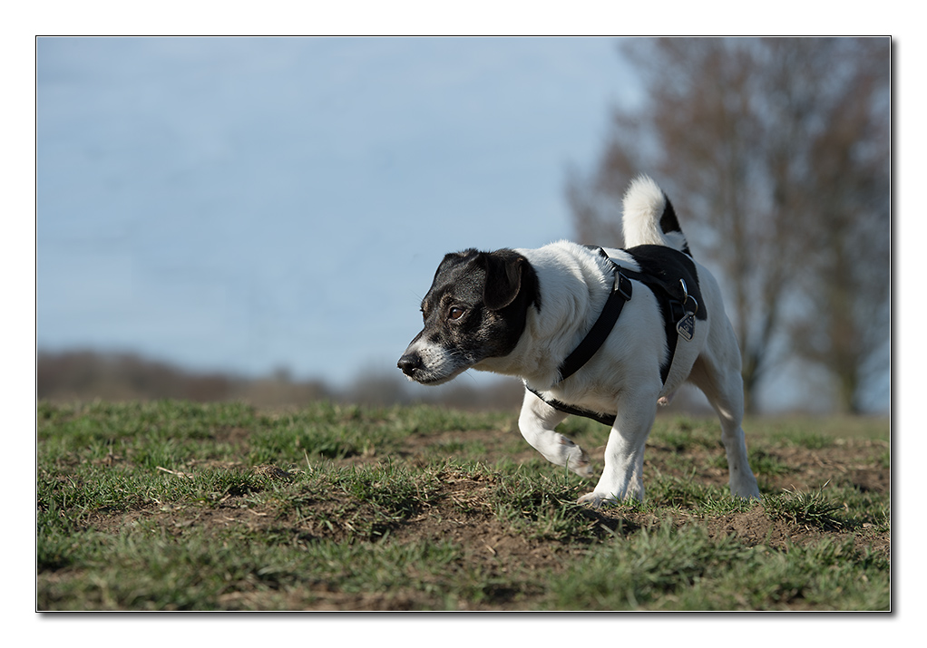 frühling1