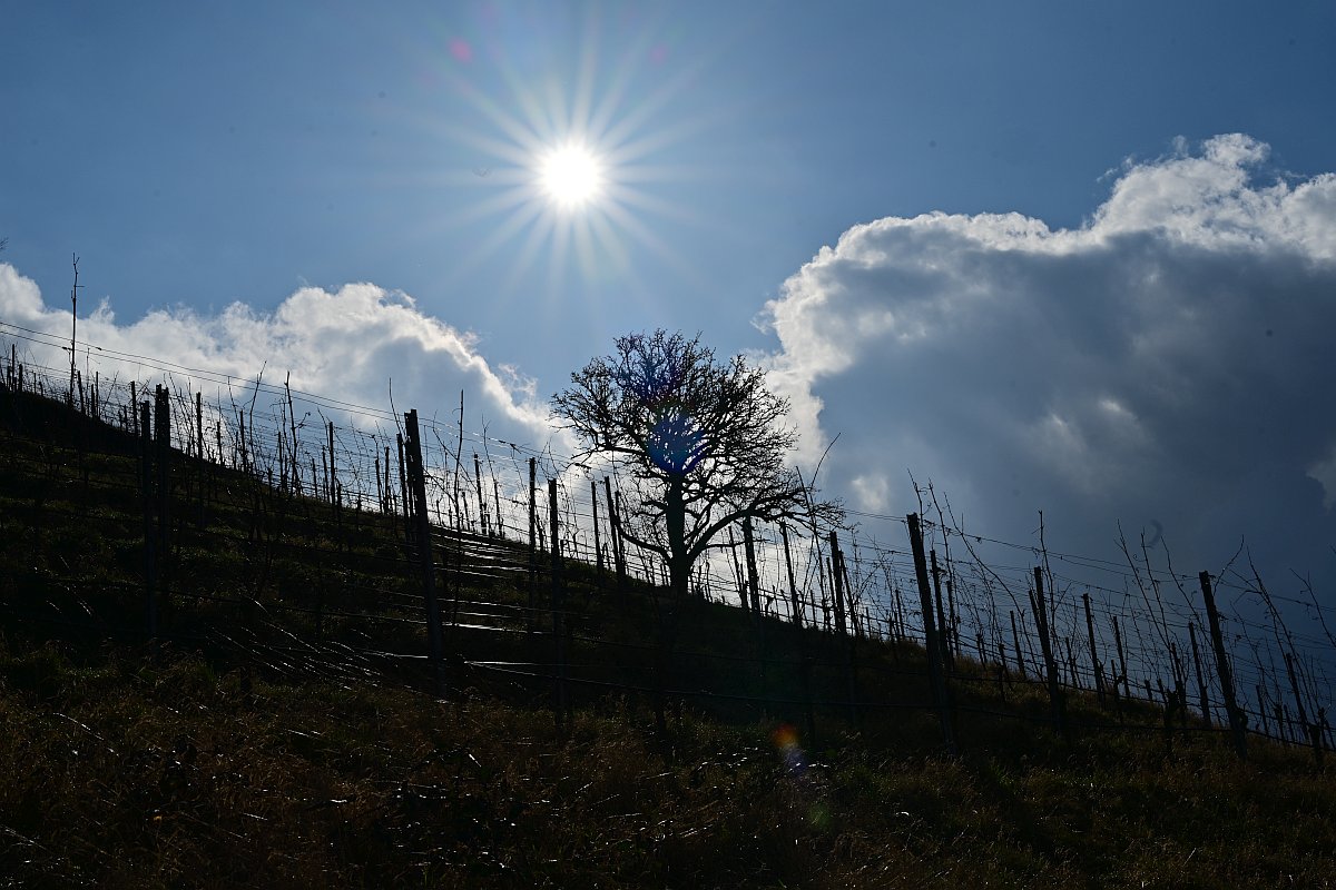 Frühling2024_07.jpg