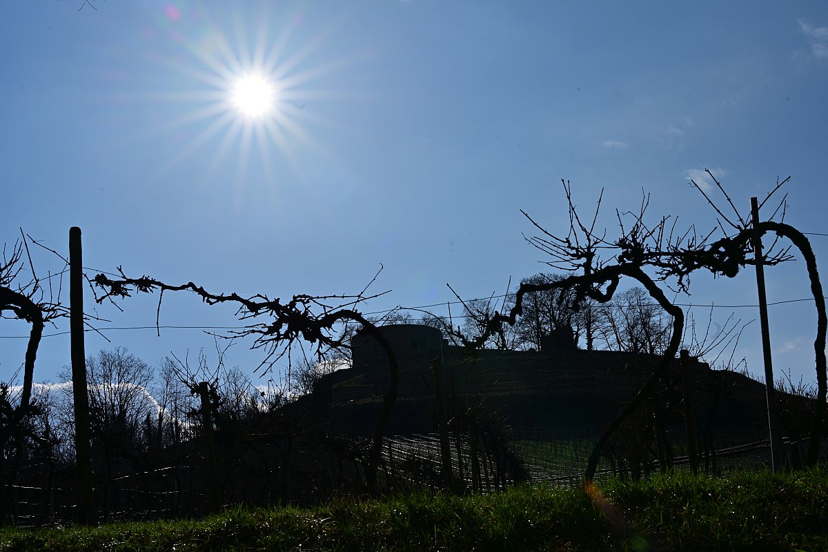 Frühling2024_09.jpg