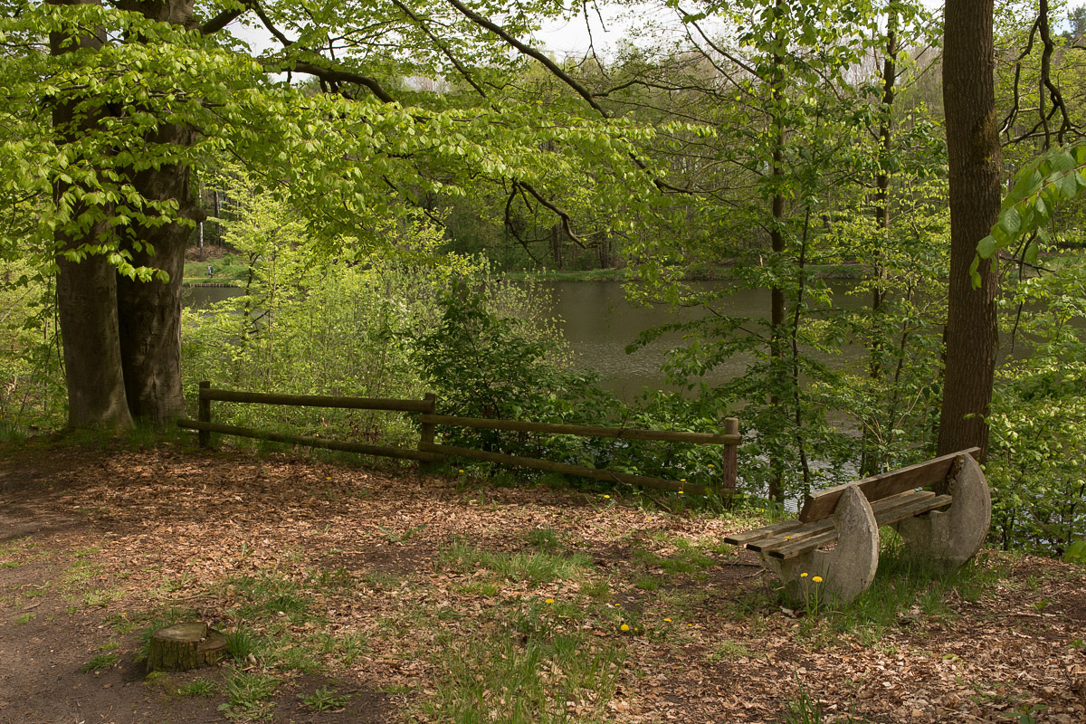 Frühlingsbank (1 von 1).JPG